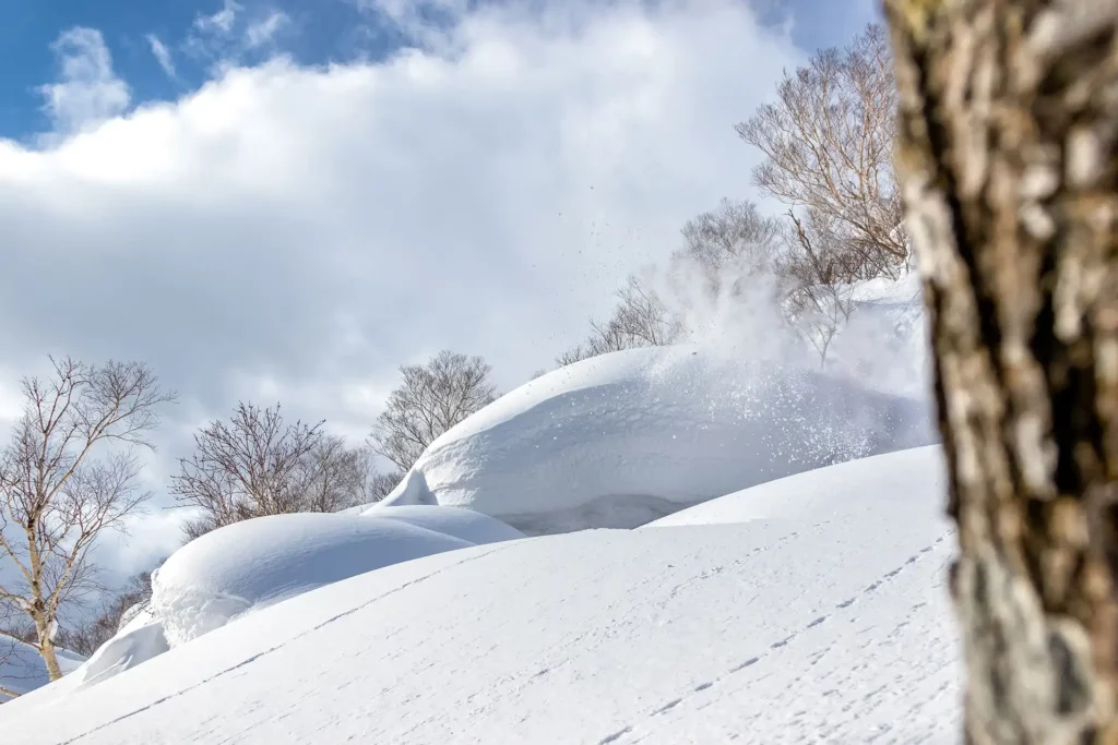 spring-background-image